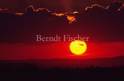 Sonnenuntergang Masai Mara - Zum Vergroessern klicken!