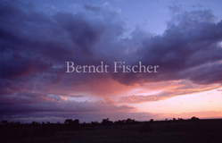 Wolkenhimmel Masai Mara - Zum Vergroessern klicken!