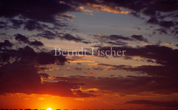 Sonnenuntergang Masai Mara - Zum Vergroessern klicken!
