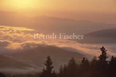 Alpenkette Talnebel Sonnenaufgang  - Zum Vergroessern klicken!