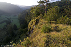 Aufsesstal - Zum Vergroessern klicken!