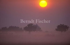 Sonnenaufgang Puszta - Zum Vergroessern klicken!