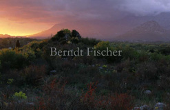 Sonnenuntergang Berge mediterrane Vegetation - Zum Vergroessern klicken!