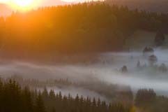 Bayerischer Wald  - Zum Vergroessern klicken!