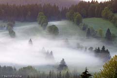 Bayerischer Wald - Zum Vergroessern klicken!