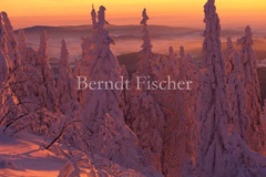 verschneiter Bergwald Abendrot - Zum Vergroessern klicken!