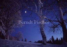 Winternacht - Zum Vergroessern klicken!