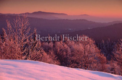 Wintermorgen Sonnenaufgang  - Zum Vergroessern klicken!