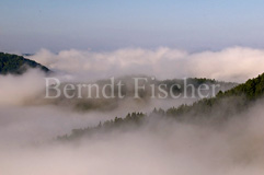 Schwbischer Jura Donautal - Zum Vergroessern klicken!