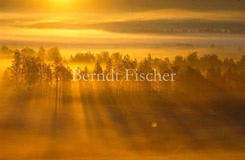 Sonnenaufgang im Bhmerwald - Zum Vergroessern klicken!