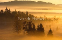 Nebelmorgen im Bhmerwald - Zum Vergroessern klicken!