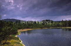 Bhmerwald-Hochmoor mit Moorsee - Zum Vergroessern klicken!