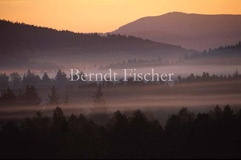 Nebelmorgen im Bhmerwald - Zum Vergroessern klicken!