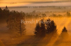 Morgennebel und Sonnenaufgang - Zum Vergroessern klicken!
