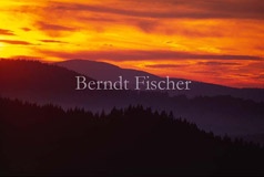 Morgenrot Himmel in Flammen - Zum Vergroessern klicken!