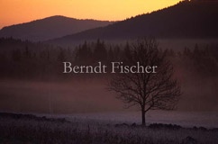 Morgen im Bhmerwald - Zum Vergroessern klicken!