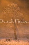 Baum am frhen Morgen - Zum Vergroessern klicken!