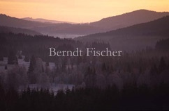 Morgen im Bhmerwald - Zum Vergroessern klicken!