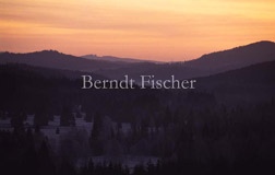 Morgen im Bhmerwald - Zum Vergroessern klicken!