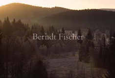 Morgen im Bhmerwald - Zum Vergroessern klicken!