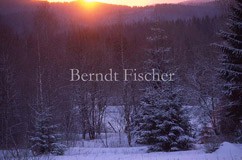 Sonnenaufgang im Bhmerwald - Zum Vergroessern klicken!