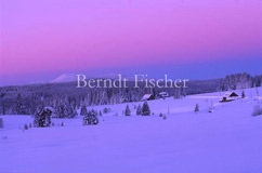 Wintermorgen in Filipova Hut - Zum Vergroessern klicken!