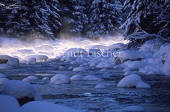 Vydra im Winter - Zum Vergroessern klicken!