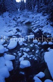 Vydra im Winter - Zum Vergroessern klicken!