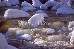 Vydra im Winter - Zum Vergroessern klicken!