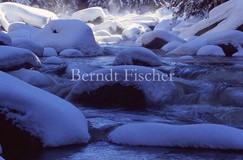 Vydra im Winter - Zum Vergroessern klicken!