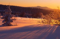 Winter im Bhmerwald - Zum Vergroessern klicken!