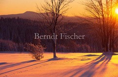 Winter im Bhmerwald - Zum Vergroessern klicken!