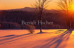 Winter im Bhmerwald - Zum Vergroessern klicken!