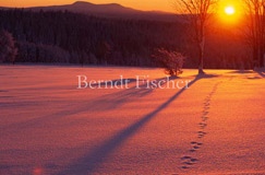 Winter im Bhmerwald - Zum Vergroessern klicken!