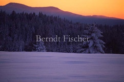Winter im Bhmerwald - Zum Vergroessern klicken!