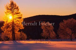 Winter im Bhmerwald - Zum Vergroessern klicken!