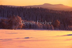 Winter im Bhmerwald - Zum Vergroessern klicken!