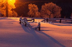 Winter im Bhmerwald - Zum Vergroessern klicken!