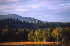 Moor Wald Berge - Zum Vergroessern klicken!