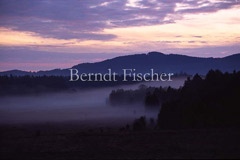 Nebel im Moor - Zum Vergroessern klicken!