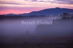 Nebel im Moor - Zum Vergroessern klicken!