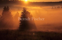 Nebel im Moor Sonnenaufgang  - Zum Vergroessern klicken!