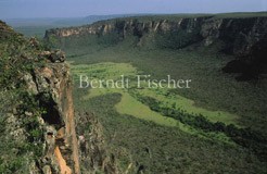 Chapada dos Guimaraes - Zum Vergroessern klicken!