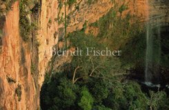 Chapada dos Guimaraes - Zum Vergroessern klicken!