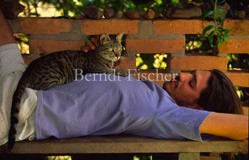 junger Mann Brasilianer Katze - Zum Vergroessern klicken!