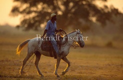 Cowboy Vaqueiro Reiter - Zum Vergroessern klicken!