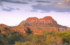 Sandsteinkliffs Cerrado - Zum Vergroessern klicken!