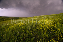Graslandschaft Wiese Gewitter Unwetter - Zum Vergroessern klicken!