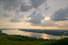Donau Tiefebene Auwald - Zum Vergroessern klicken!