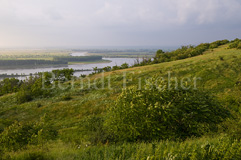Donau Graslandschaft Lsshgel - Zum Vergroessern klicken!